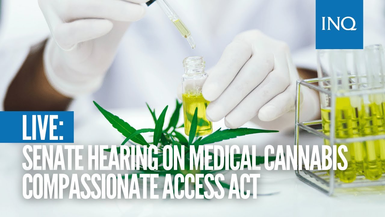 Senate hearing on Medical Cannabis Compassionate Access Act