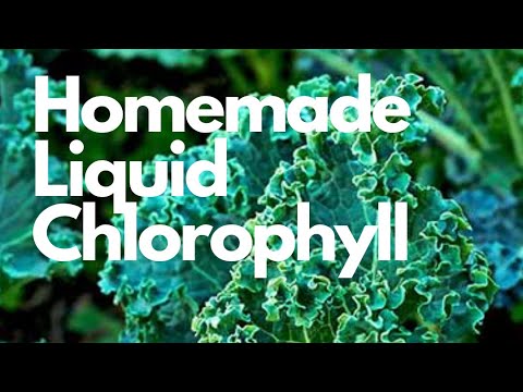 Homemade liquid chlorophyll #natural #wellness #juicingtutorials