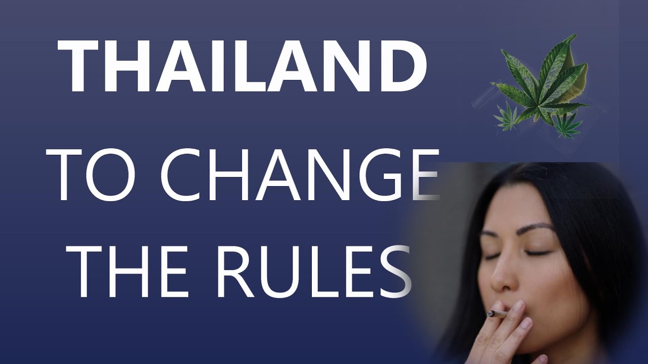 THAILAND CANNABIS RULES TO CHANGE AGAIN!