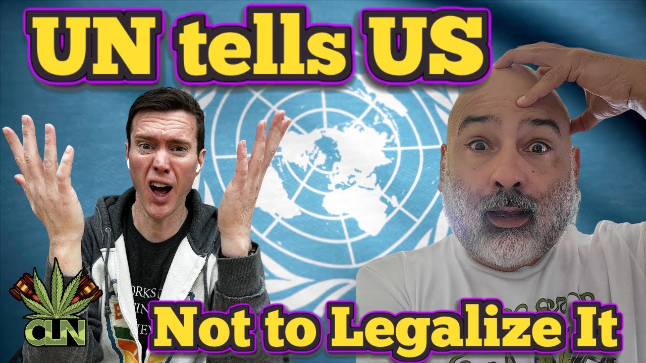 Can the UN Stop US from Legalizing It? | Cannabis News