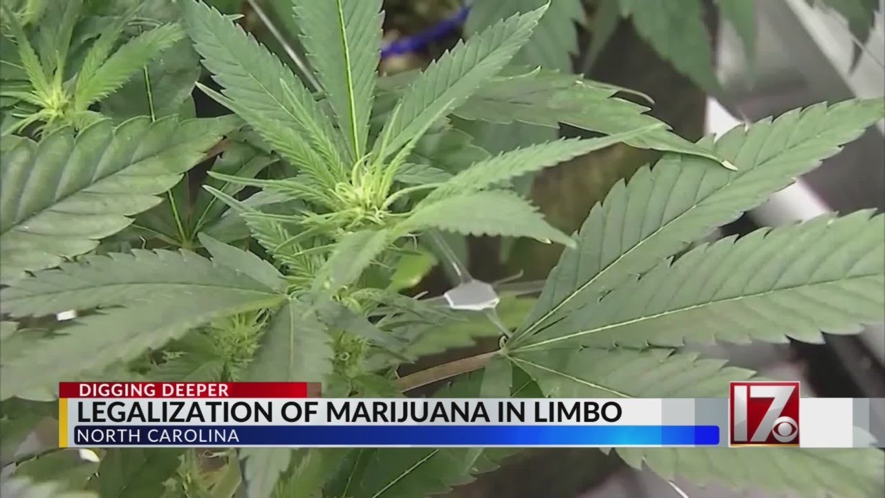 4/20 in NC: Hemp industry grows while medical marijuana bill sits in NC House