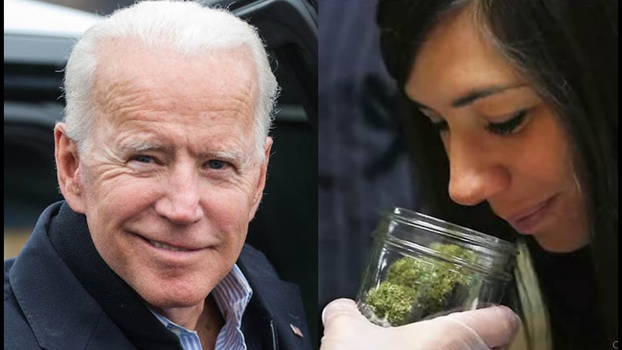 Biden's Dept. Of Health Has FANTASTIC News For Marijuana Users