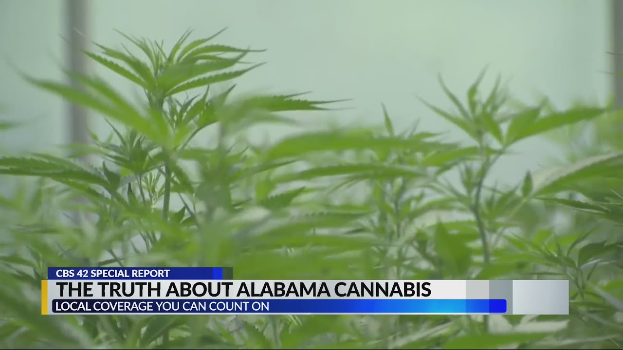 The truth about marijuana in Alabama