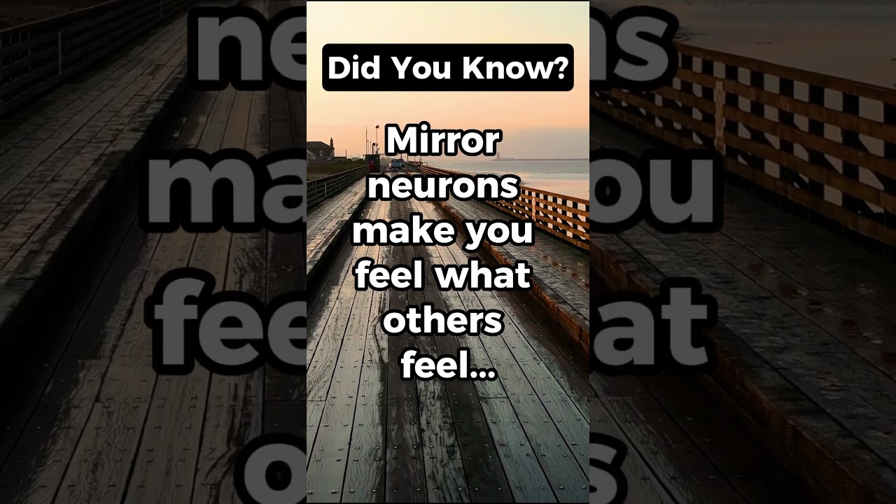 Fascinating Fact About Mirror Neurons #facts #love#shorts #trending