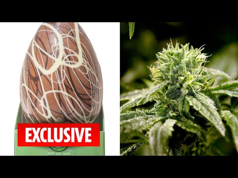 Cannabis Easter egg sells out 🍁 🥚 – WBBS (Late Lunch Edition)