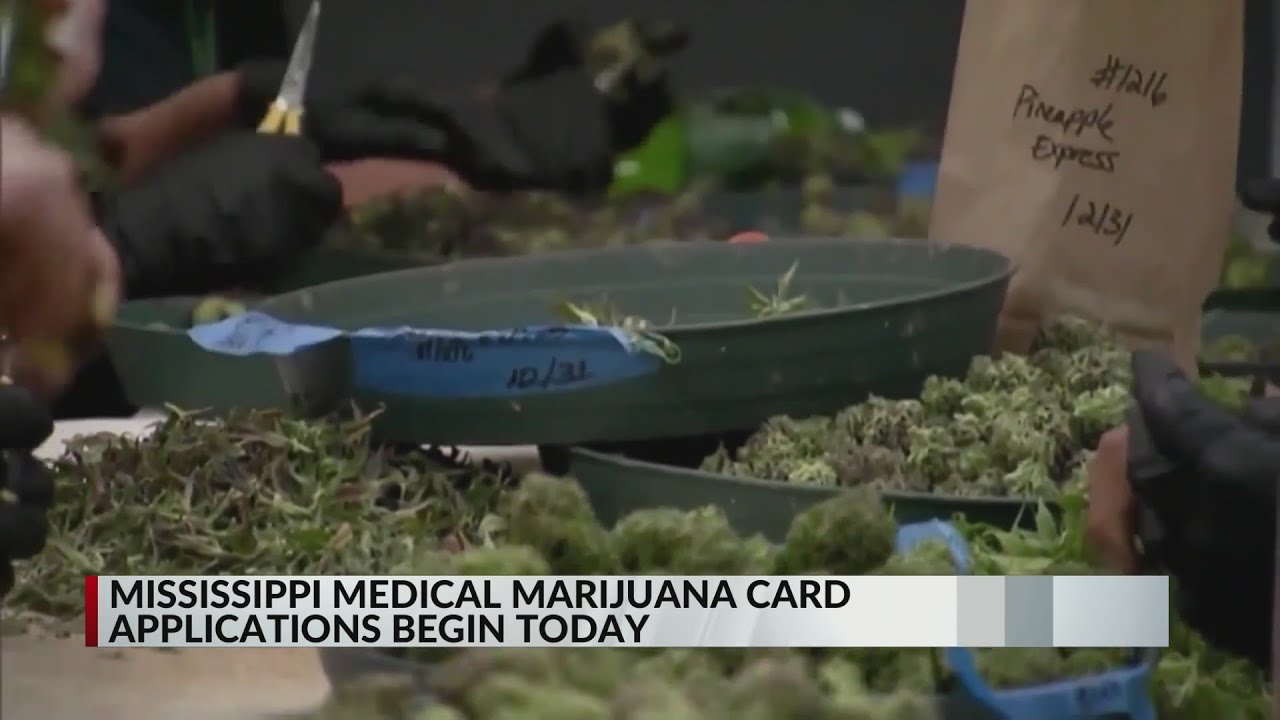 Mississippians can apply for medical marijuana