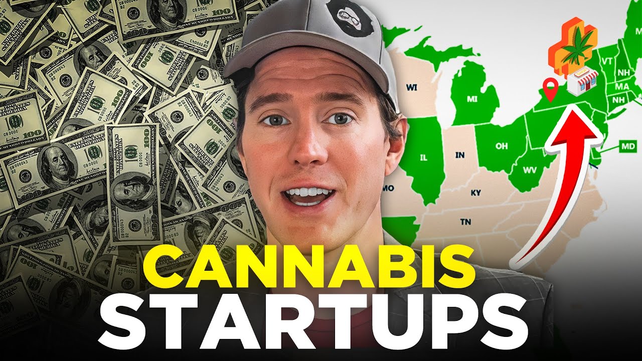 Building a Cannabis Startup: Overcoming Legal and Financial Hurdles