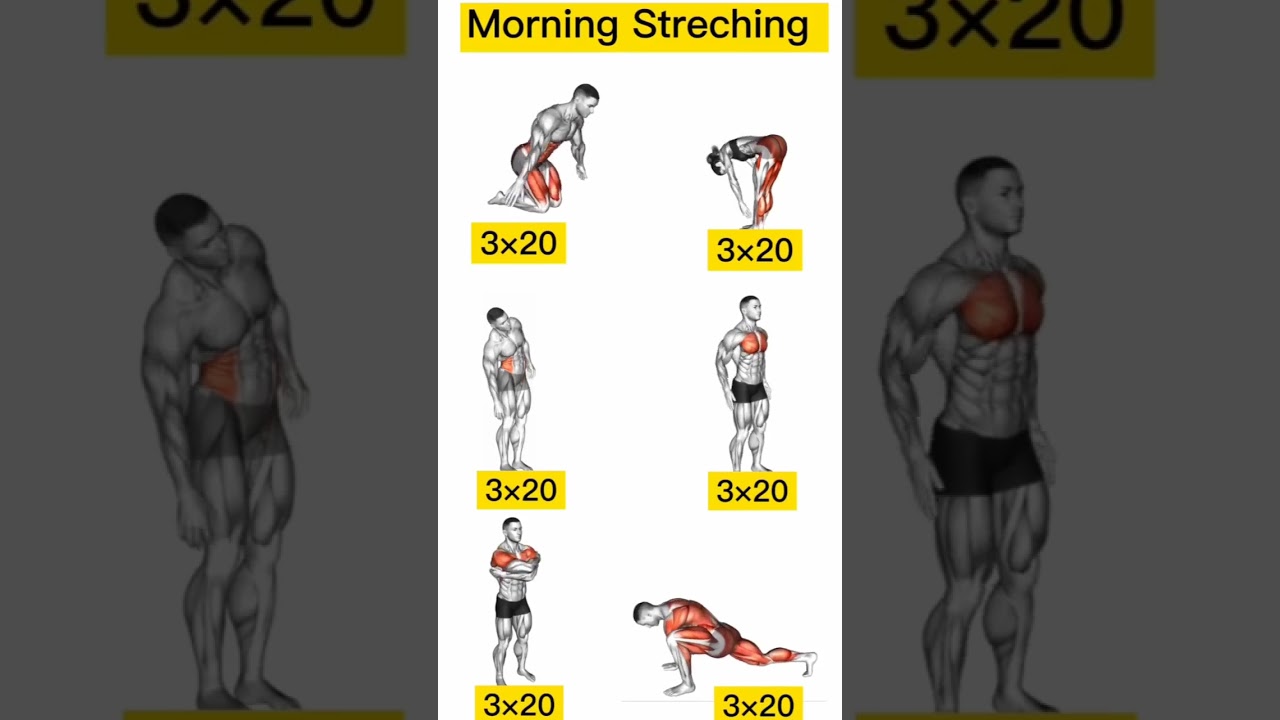 Full Body workout #fullbodyworkout #workout #usa #fitnessmotivation #morningstretching