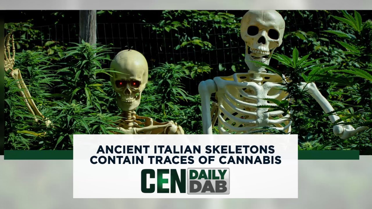 Ancient Italian Skeletons Contain Traces of Cannabis