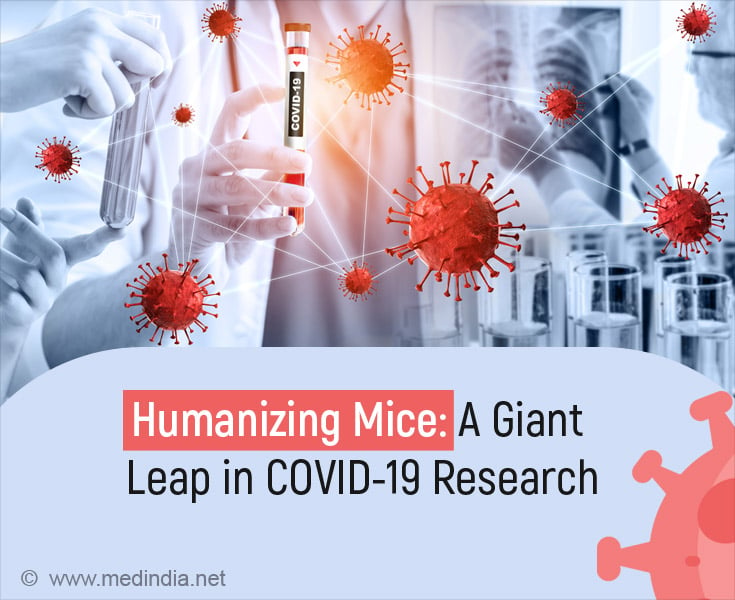 Creating Humanized Mice That Show Human-Like COVID-19 Symptoms