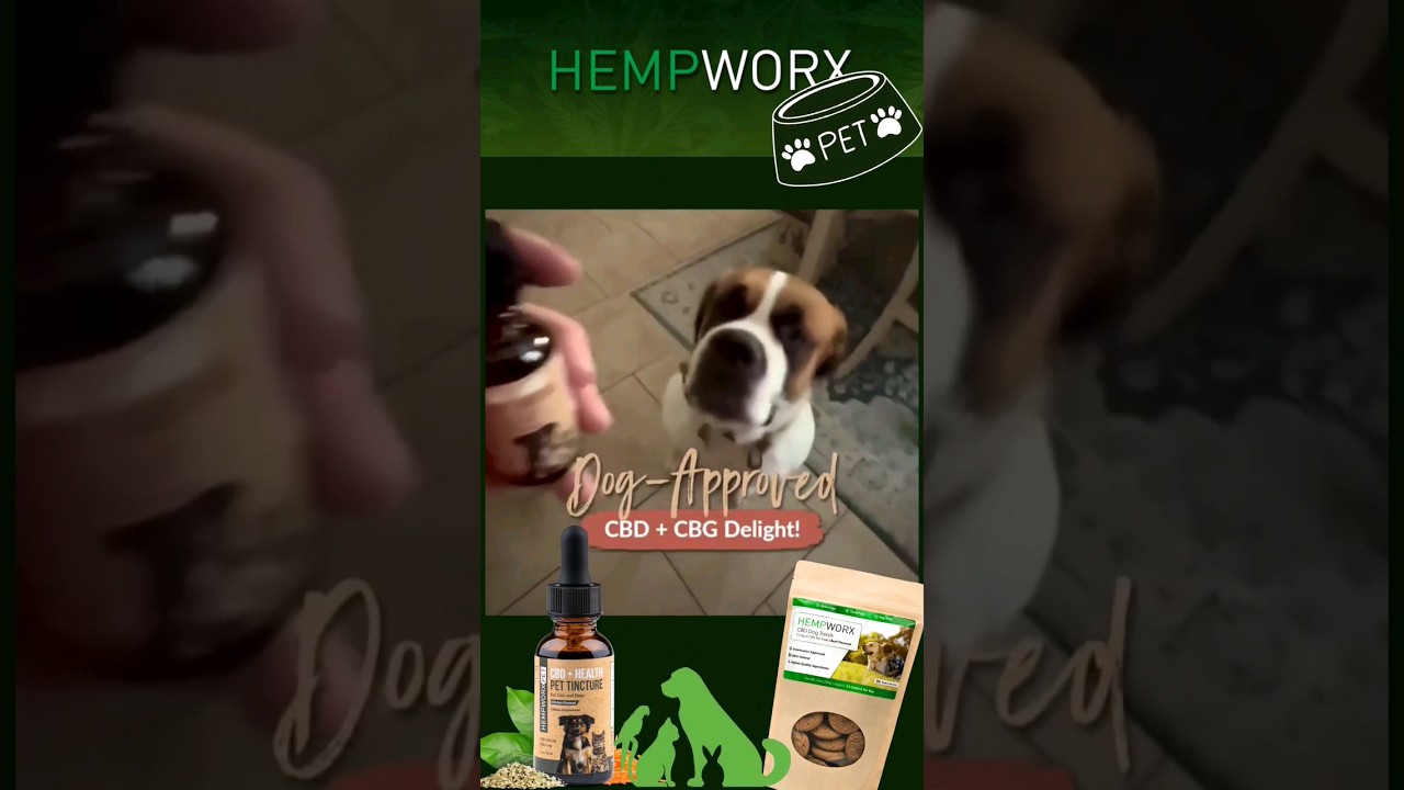 Discover the Perfect Christmas Gift for Your Furry Friend with Hempworx Pet CBD Oil! 🎁🐾