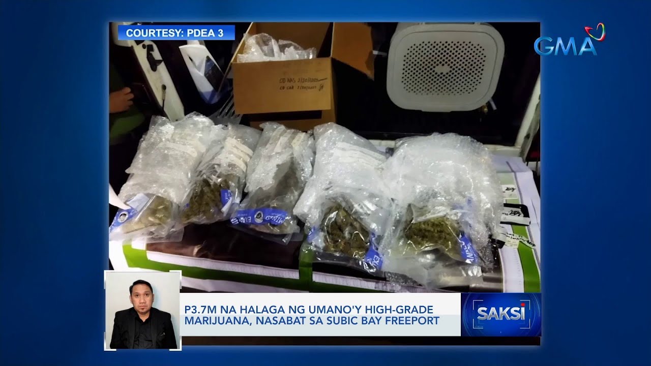 P3.7M na halaga ng umano'y high-grade marijuana, nasabat sa Subic Bay Freeport | Saksi