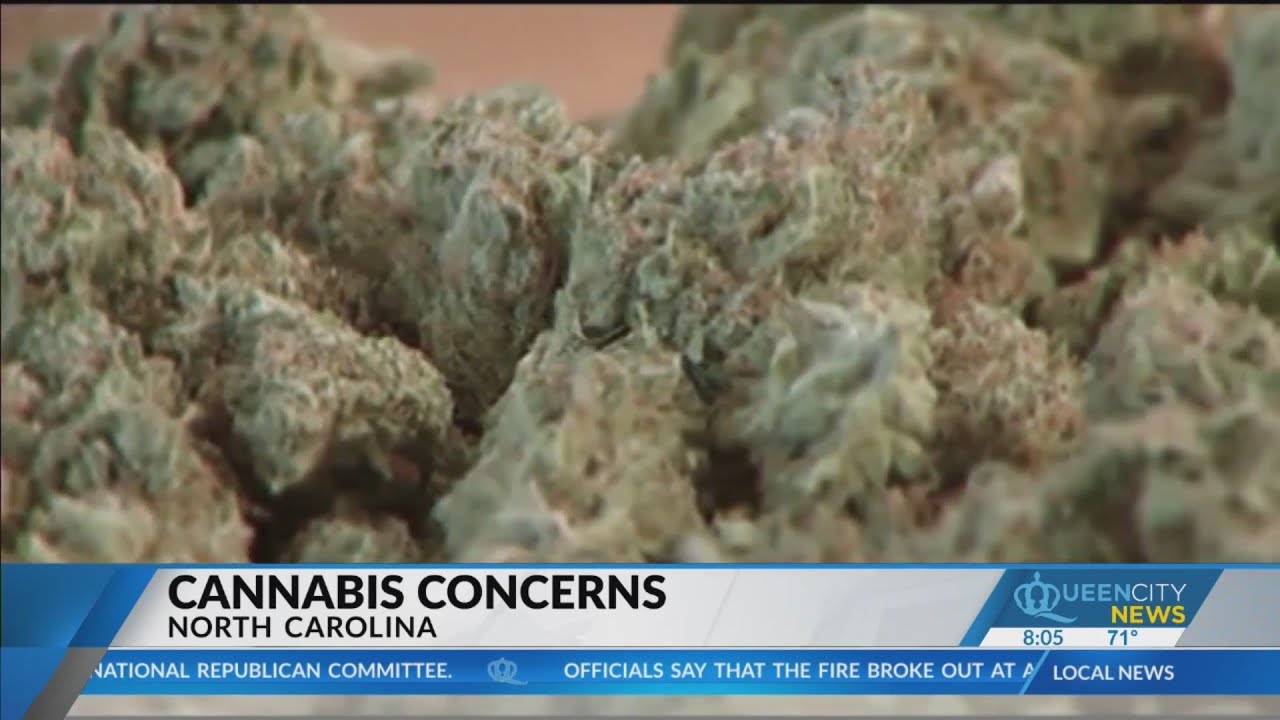 NC may revisit medical marijuana before break