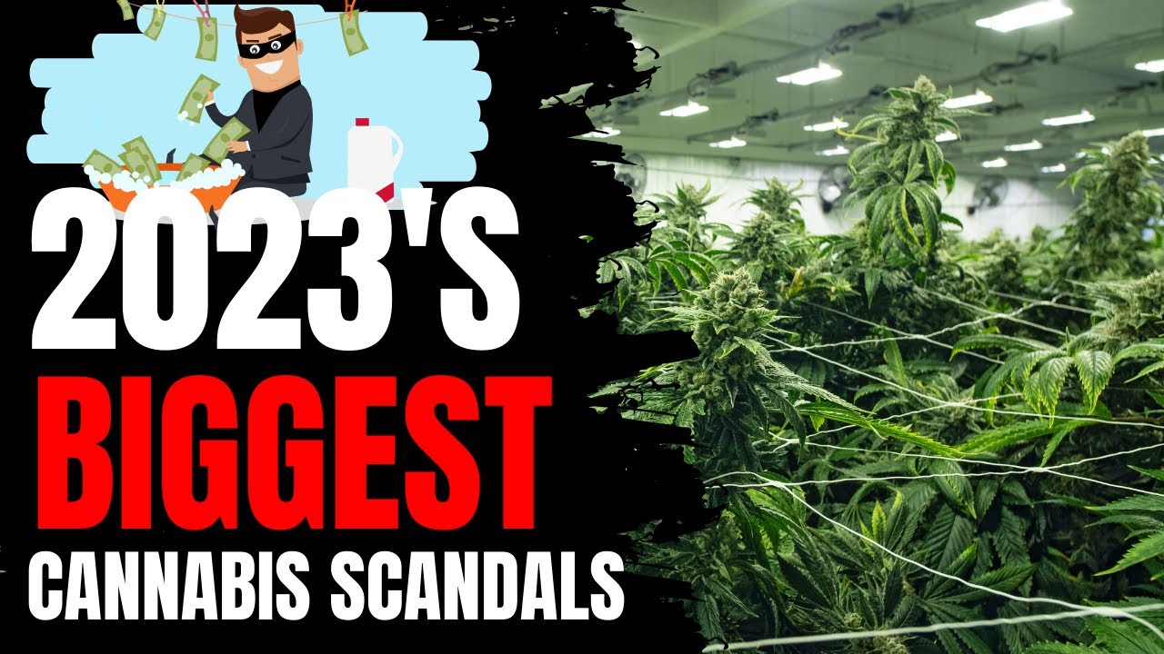 Unveiling the Dark Secrets: 2023's Biggest Cannabis Scandals