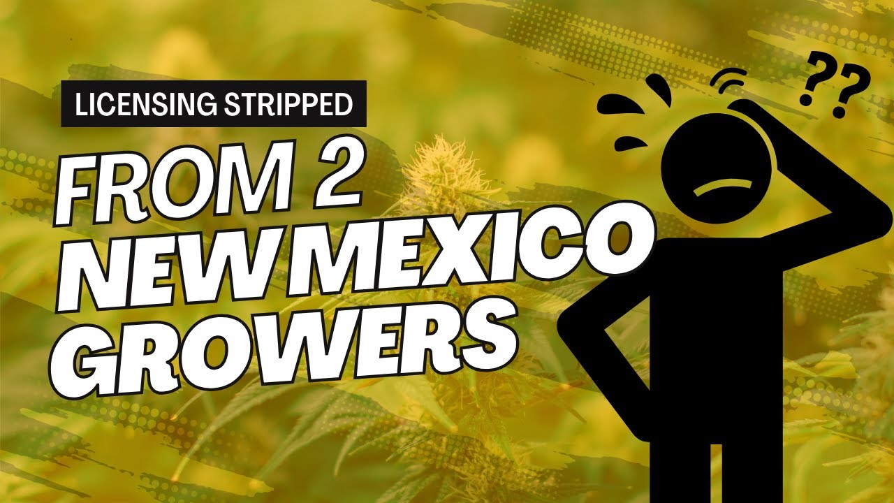 Fear of Loss: Crushing Fines & Shutdown of New Mexico's Grow Ops