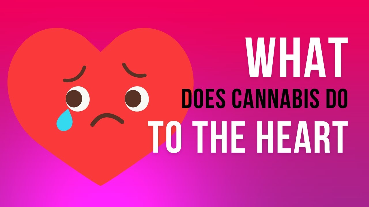 Revealing the Truth: Medical Marijuana's Impact on Heart Patients