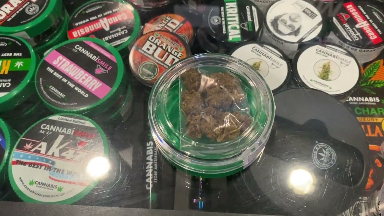 CANNABIS Store Amsterdam em PORTUGAL!