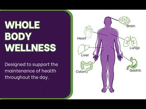 Trevo   A Complete Daily Multivitamin  | Trevo Wellness | Liquid Supplement