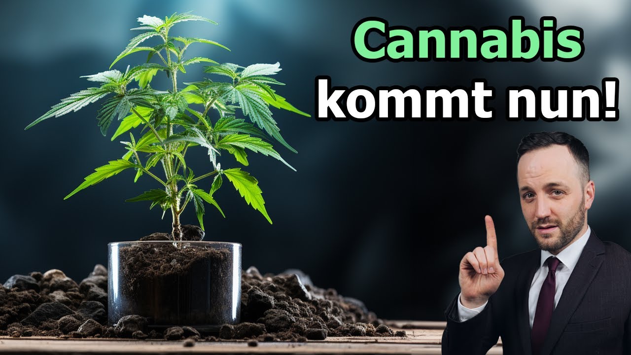 SO wird Cannabis nun "LEGAL" 🥦 | Herr Anwalt