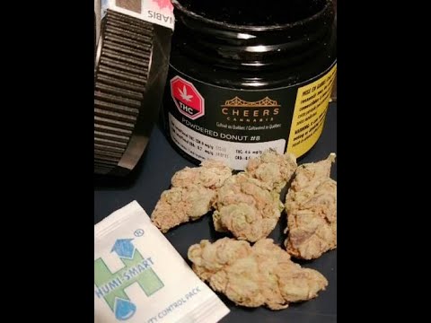 SQDC Weed Review #330 Powdered Donut #8 de Cheers