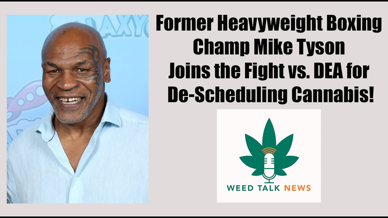 Tyson Joins Senators in Fight vs DEA for DE-Scheduling! NYC Dispensary Restores Biggie Smalls Image