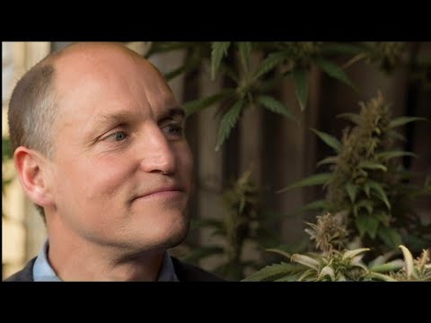 Woody Harrelson | How Cannabis Became Illegal | Growing Belushi