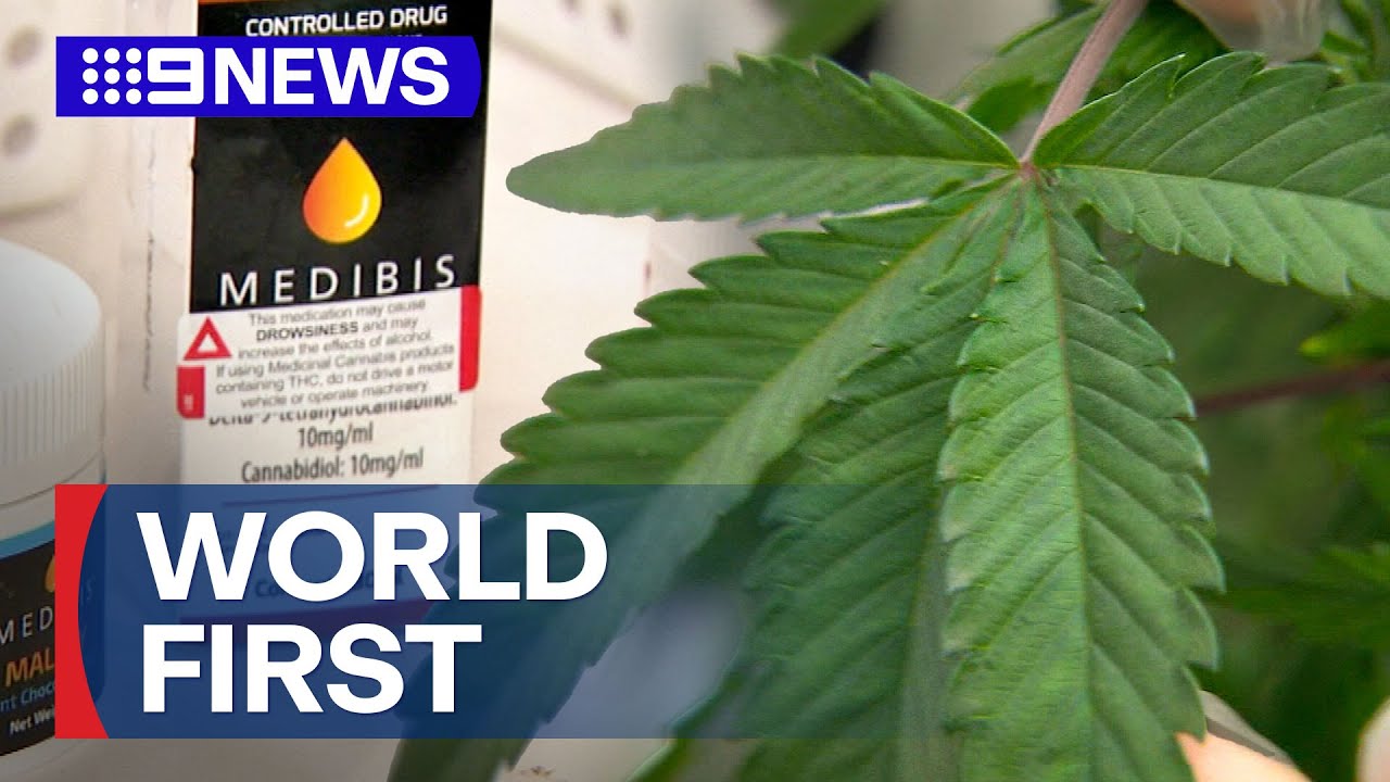 Clinical trial into medical cannabis to get underway in the Gold Coast | 9 News Australia