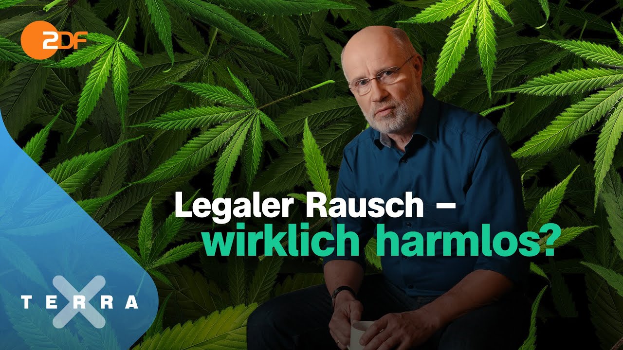 Cannabis – zwischen Horror und Heilung – Leschs Kosmos [Ganze TV-Folge] | Harald Lesch