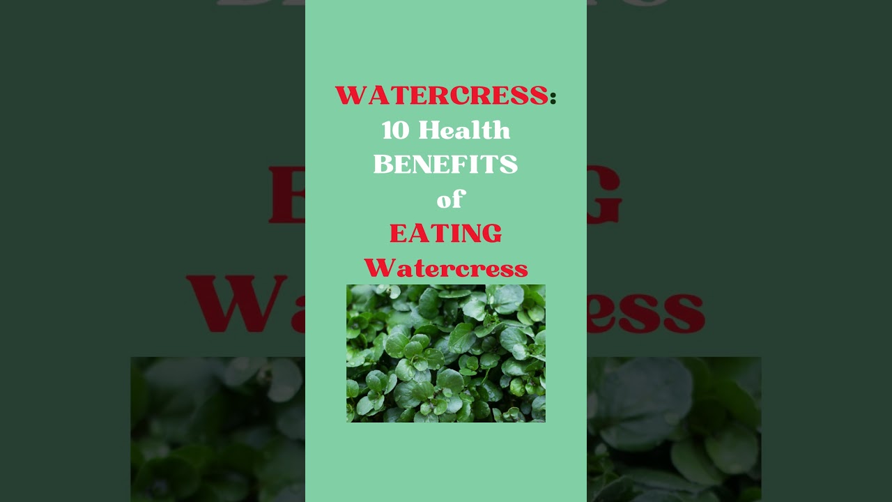 WATERCRESS:  10 Health Benefits of WATERCRESS–(#3) #nutrition #wellness#fitness #health  #shorts