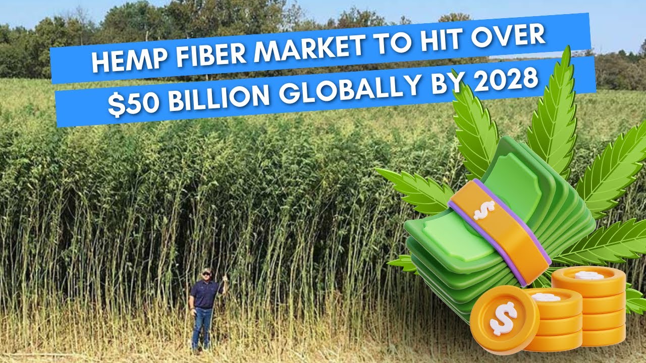 Expert Analysis: Hemp Fiber Market Soars to $50B by 2028