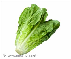 Refrigeration Tips for Lowering E. Coli Contamination in Lettuce