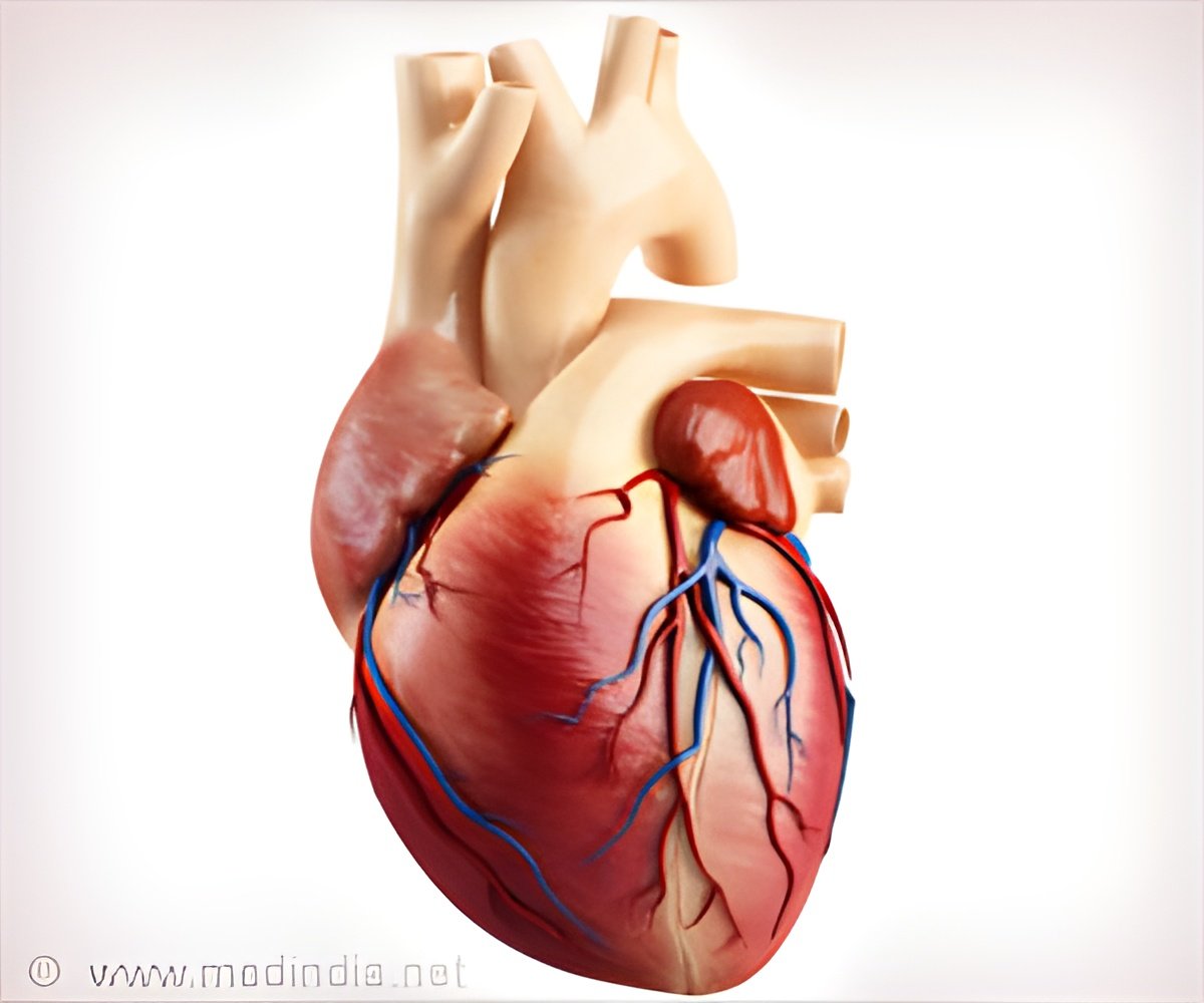 Why Heart Disease Remains a Top Health Focus?