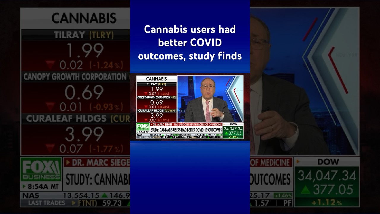 Medical study reveals those who use cannabis had better COVID-19 responses #shorts