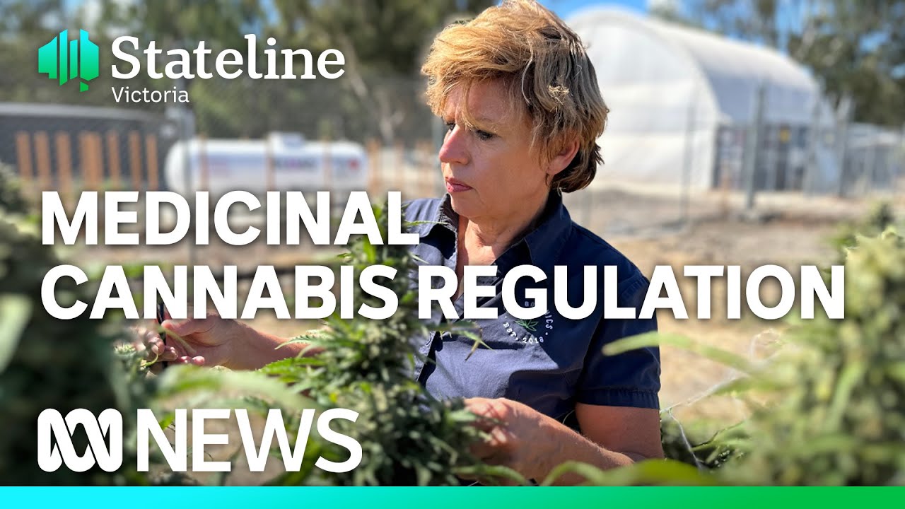 Concerns over quality and potency of imported cannabis products grows | ABC News