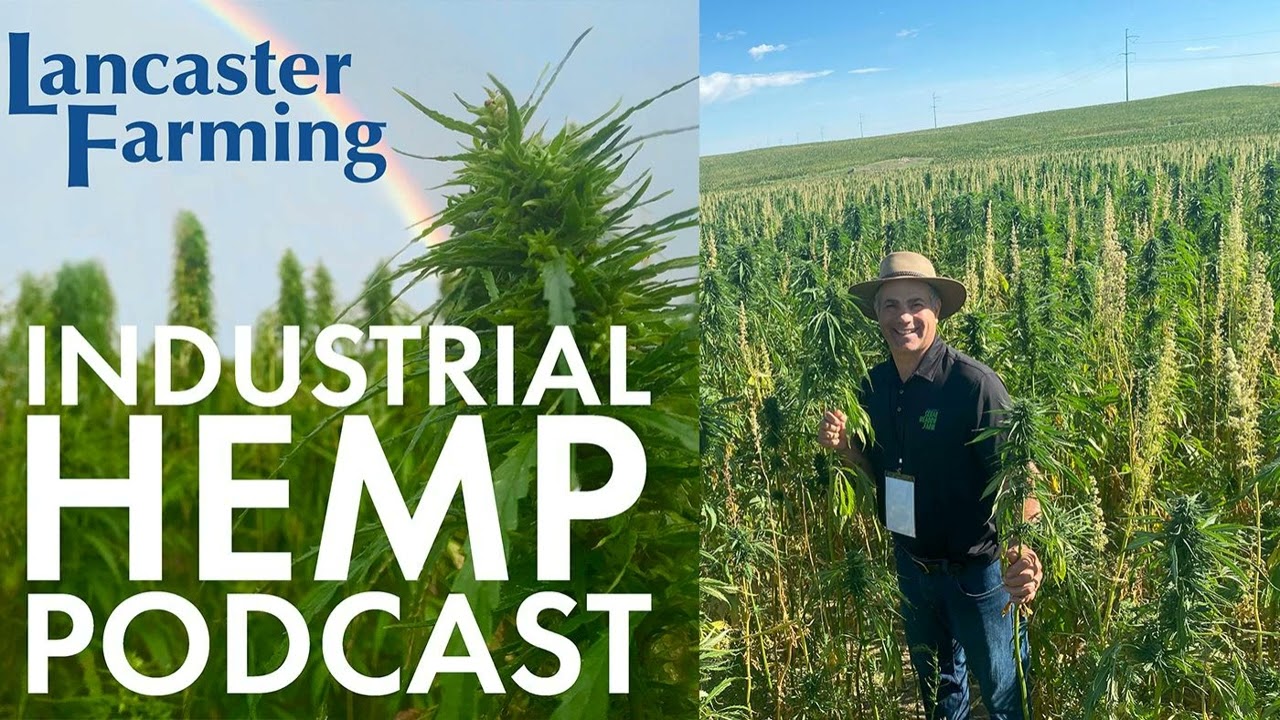 Experimental Hemp Micro Processing With Steve Groff