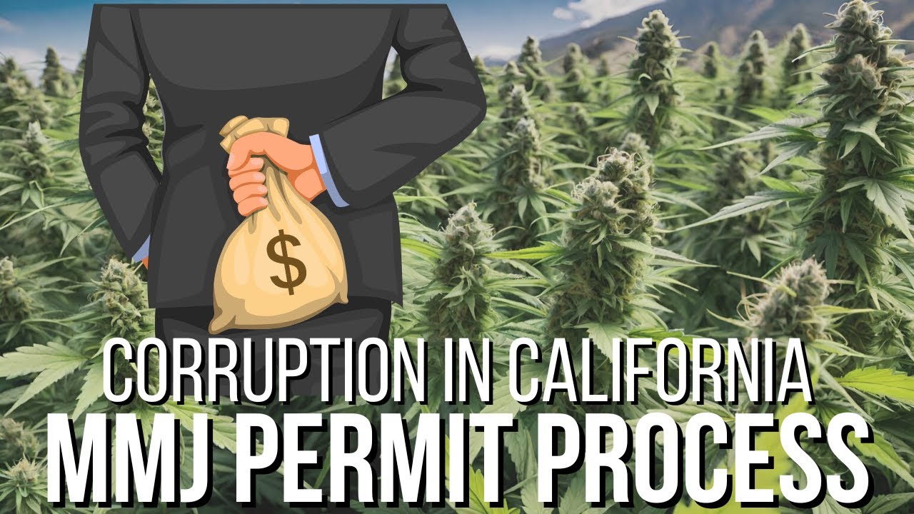 Auditor exposes favoritism in California's marijuana permits