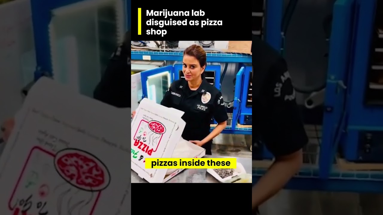 What's Cooking? Marijuana Lab Disguised as Pizza Shop