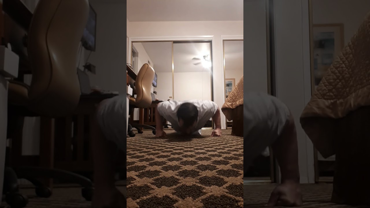 Day 15 – 22 Push Ups  #health #motivation #anxiety  #depression #fitness #funny #goals #summer