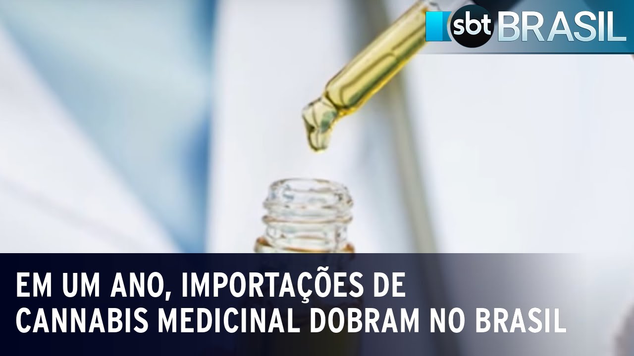 Em um ano, importações de cannabis medicinal dobram no Brasil | SBT Brasil (05/05/23)