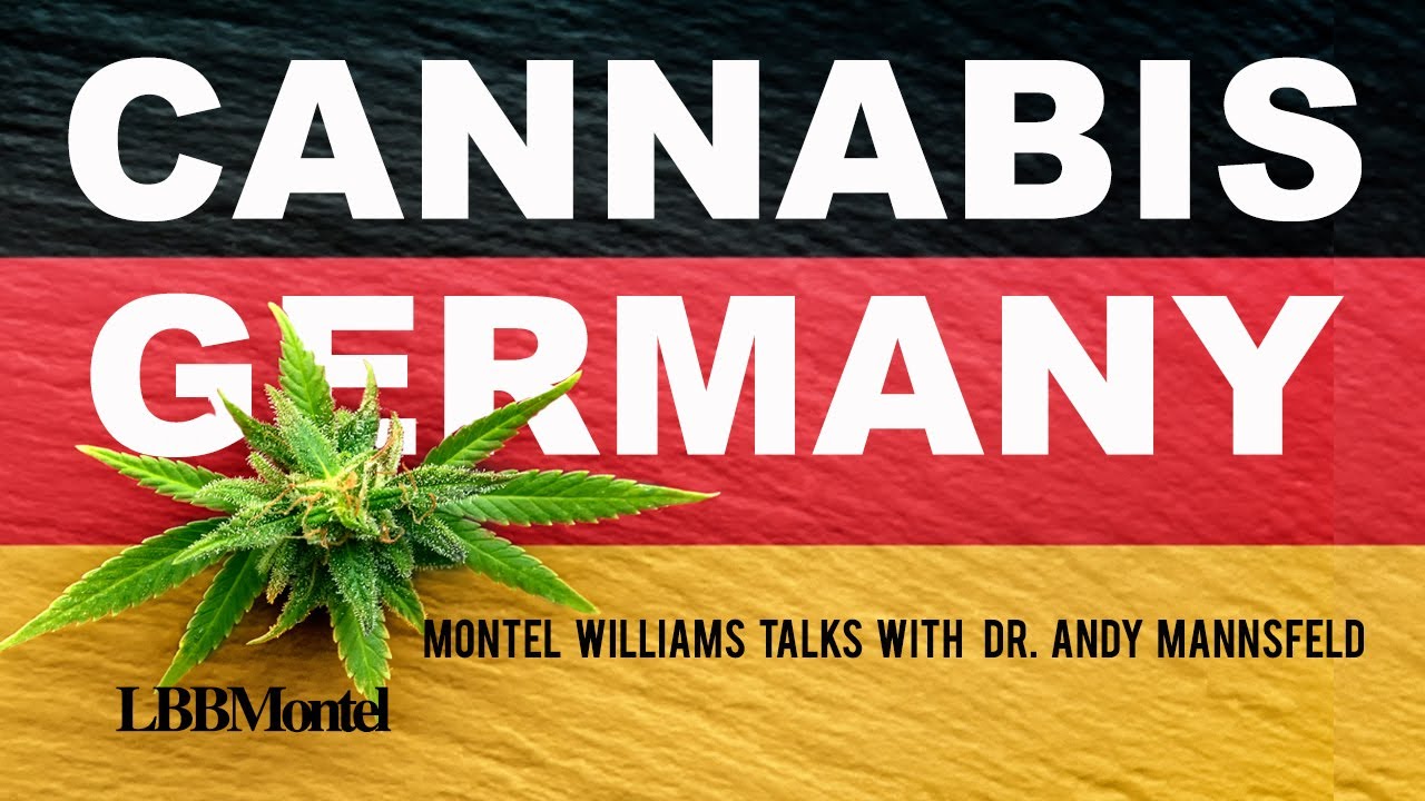 Europe’s Cannabis Evolution | Dr. Andy Mannsfeld