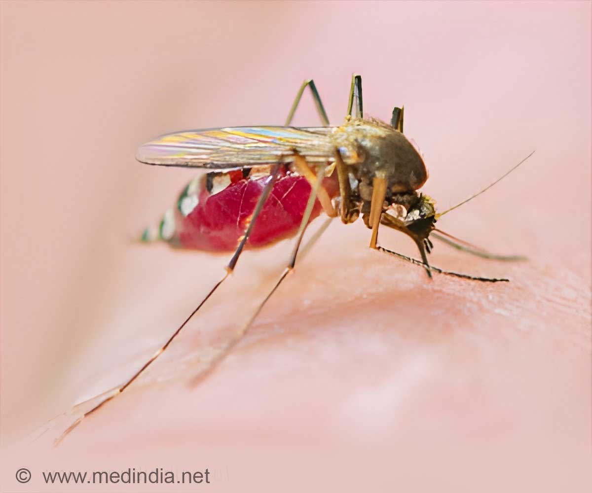 Malaria Fight Gets a Boost: Nigeria Introduces Innovative Vaccine