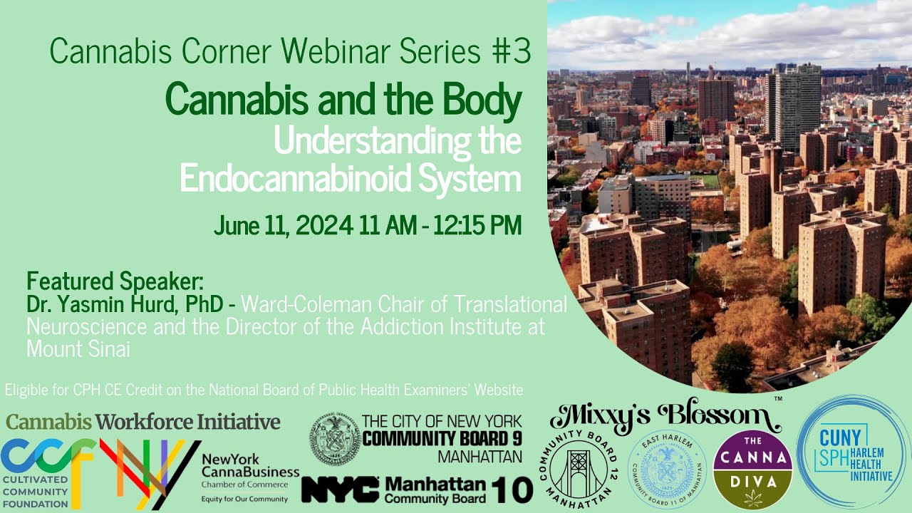 Cannabis and the Body: Understanding the Endocannabinoid System – Cannabis Corner Webinar Series #3