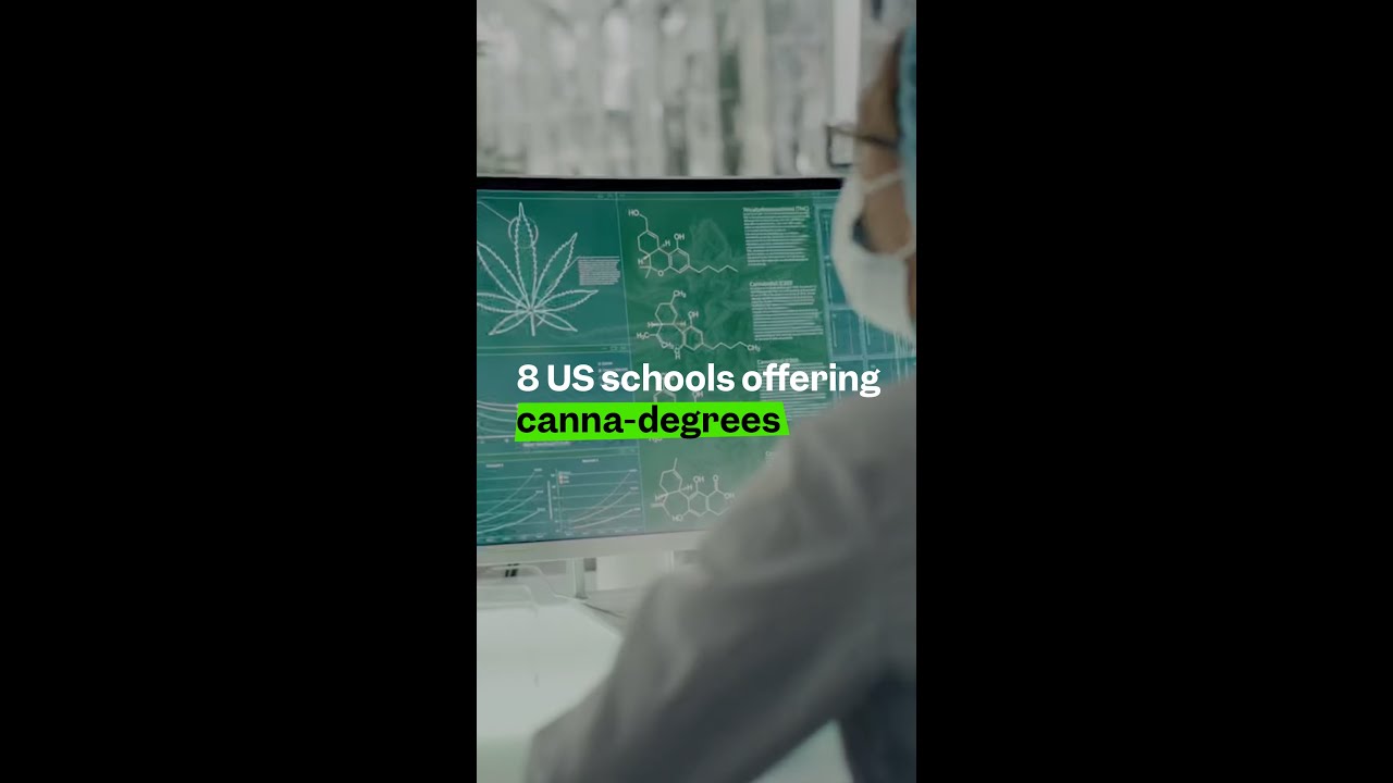 8 U.S. schools offering degrees in cannabis