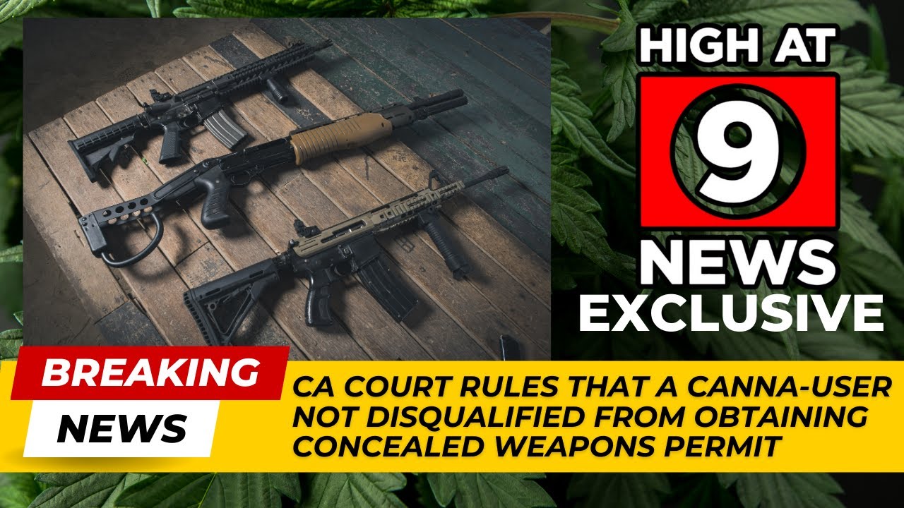 CA COURT RULES THAT A CANNABIS USER IS NOT DISQUALIFIED FROM OBTAINING A CONCEALED WEAPONS PERMIT