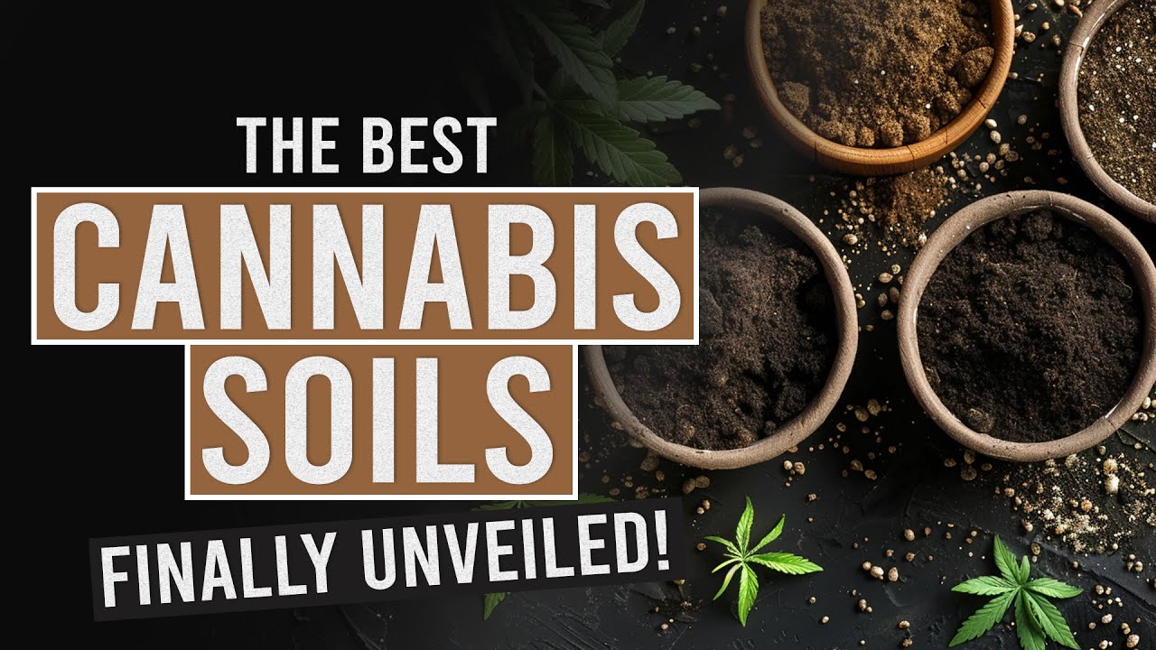 The Cannabis Connoisseur’s Guide to the Best Growing Soils!