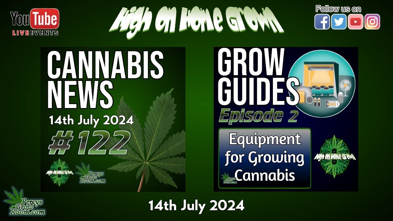 High on Home Grown, News and Grow Guides, 14th July 2024