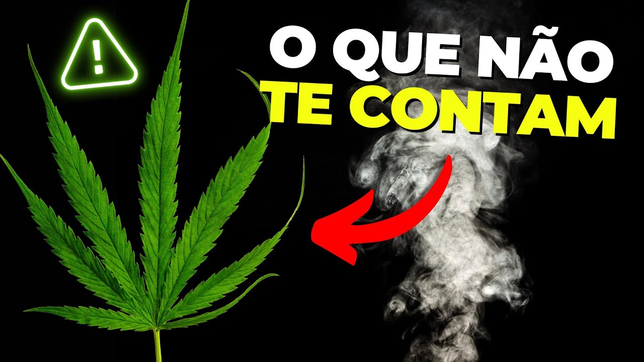 Os Verdadeiros Efeitos da MACONHA no CÉREBRO