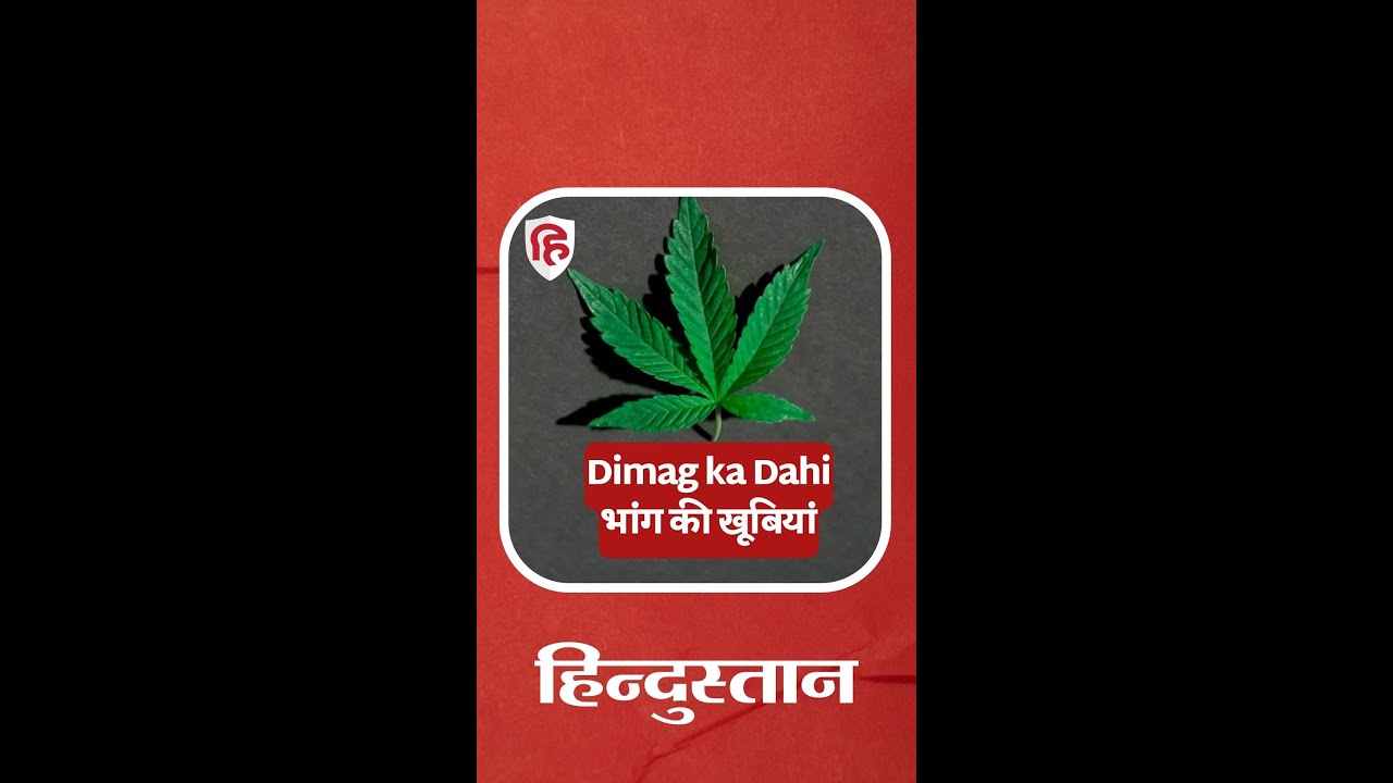 भांग इतनी बुरी भी नहीं है! #dimagkadahi #ganjha #hemp #cannabis #cannabishemp #amazingfacts