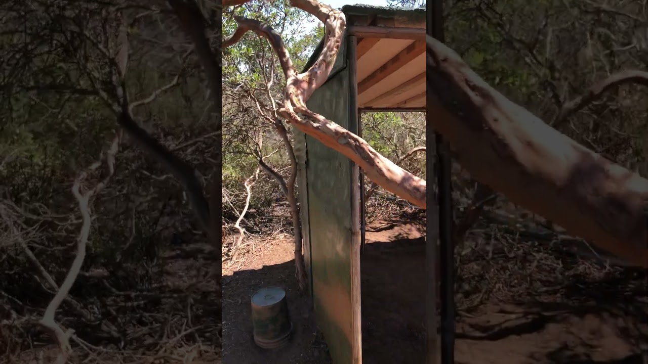 BARE BONES OF SECRET SURVIVAL SHACK #USA #CALI #NATURE #PREPPER #TRAVEL #SOLO #WOODS #HIKING #SOCAL