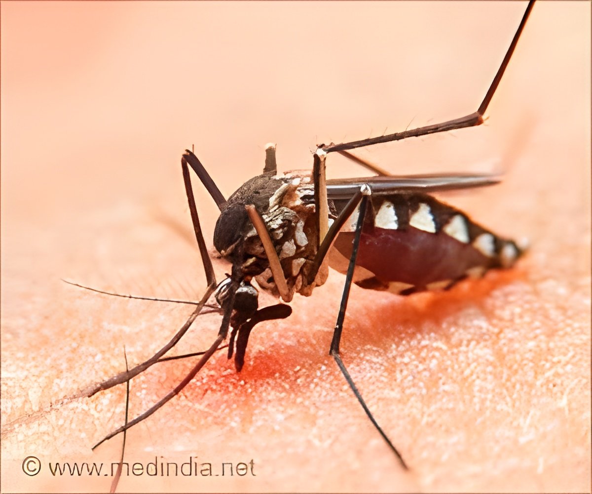 Dengue Outbreak in Karnataka